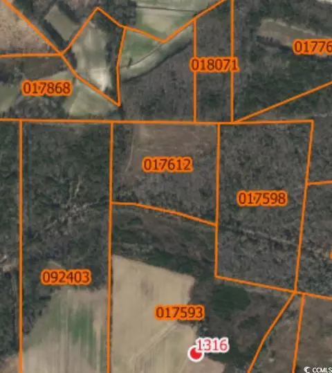 tbd Swamp Fox Hwy W, Fair Bluff, NC 28439