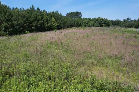 3 7acres-tbd Marion Church Rd, Salters, SC 29590