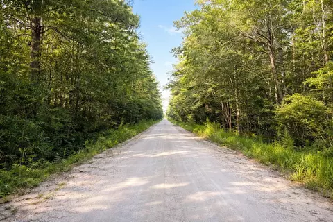 tbd Wolf Pit Bay Rd, Nichols, SC 29581