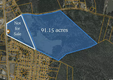 tbd Pitch Landing Rd, Conway, SC 29527