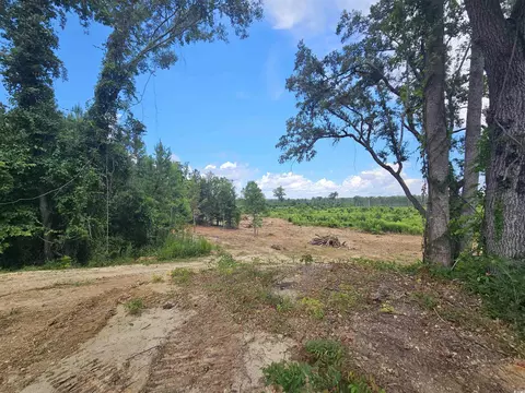 157 Mingo Chandler Rd, Nesmith, SC 29580