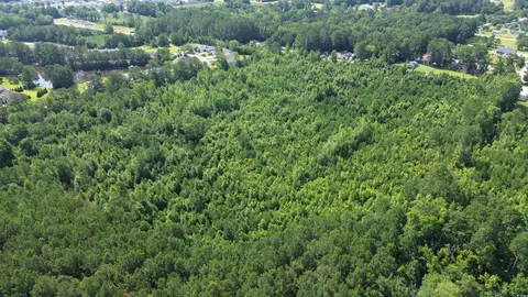tbd Elbow Rd, Longs, SC 29568 photo 3