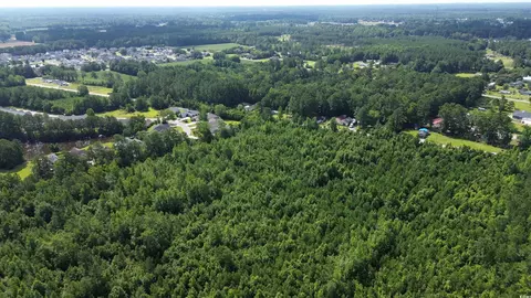 tbd Elbow Rd, Longs, SC 29568 photo 2