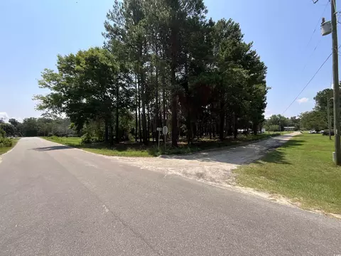 1425 Harbor House Dr, Manning, SC 29102