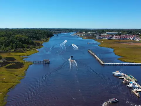 View/Area - 8225 Vibrant Loop, Longs, SC 29568 photo 3 of 3