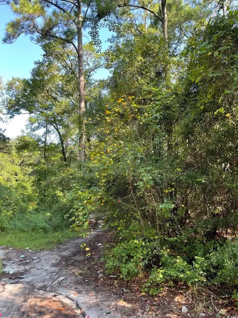 tbd Bellamy Dr, Little River, SC 29566