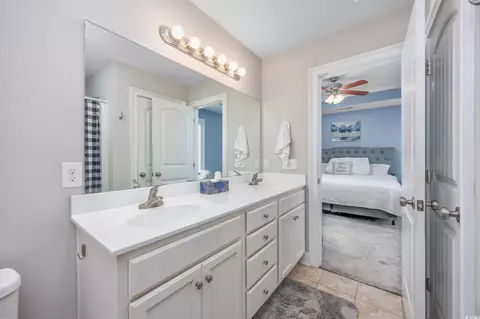Bath - 308 Millbrook Cir, Galivants Ferry, SC 29544 photo 4 of 4