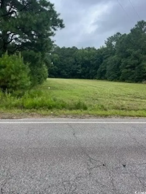 lot S 3 4 Anderson Bridge Rd, Coward, SC 29530