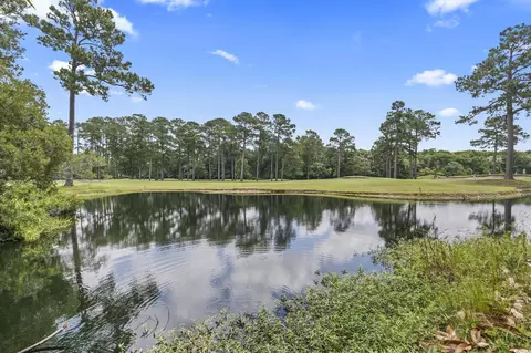 603 Bucks Trl, Longs, SC 29568 photo 32