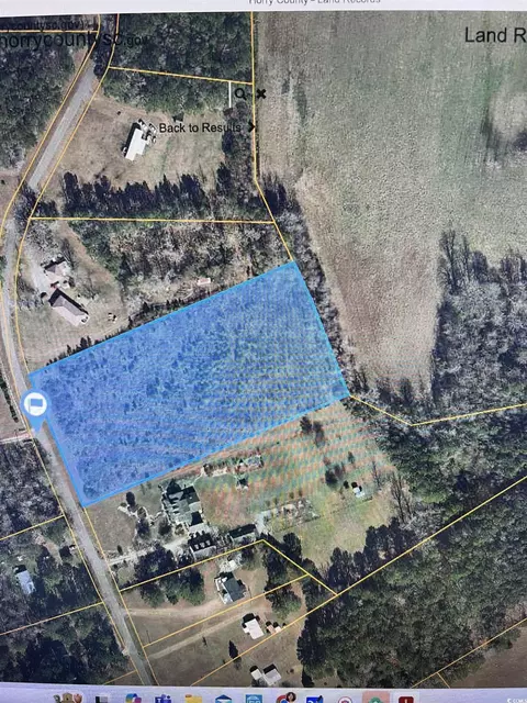tbd Sarvis Dr, Loris, SC 29569 photo 5