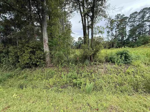 3082 Wise Rd, Conway, SC 29526 photo 5