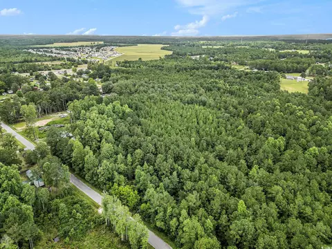 175 Crepe Myrtle Dr, Loris, SC 29569 photo 3