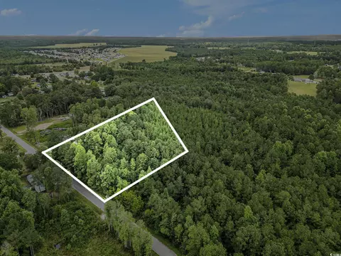 175 Crepe Myrtle Dr, Loris, SC 29569 photo 2