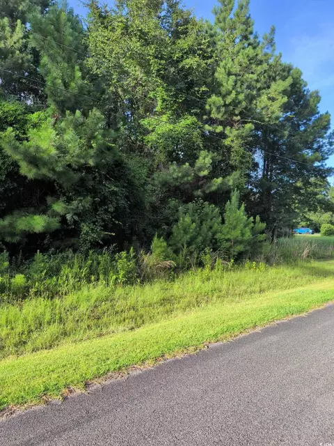 tbd Pecan Ln, Conway, SC 29526