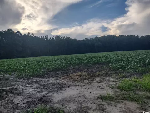tbd Beaver Rd, Hemingway, SC 29554 photo 3