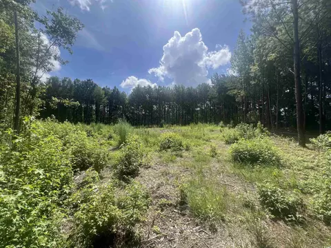 tbd Lot 6b Red Bluff Rd, Loris, SC 29569