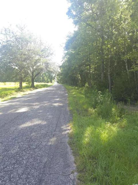 1242 Ray Rd, Hemingway, SC 29554