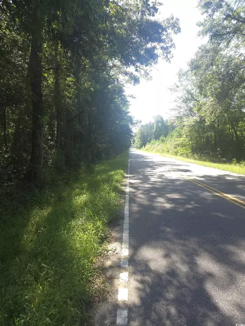 tbd Tomahawk Rd, Hemingway, SC 29554 photo 2