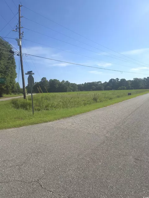 2095 Ray Rd, Hemingway, SC 29554