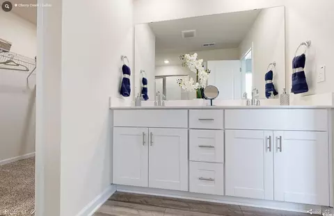 8233 Vibrant Loop, Longs, SC 29568 photo 9
