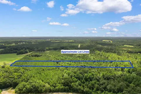 tbd Oneal Road Oneal Rd, Loris, SC 29569 photo 4