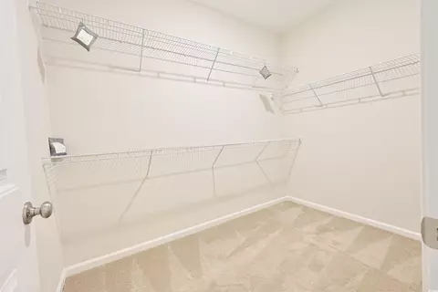 Other - 266 Ole Maple St, Loris, SC 29569 photo 1 of 3