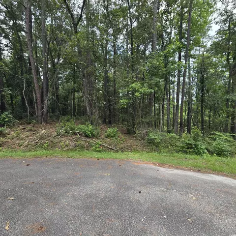 1051 Irene Ct, Conway, SC 29526