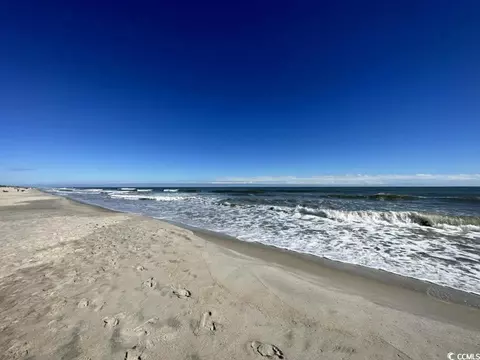 View/Area - 817 Old Castle Loop, Myrtle Beach, SC 29579 photo 5 of 5