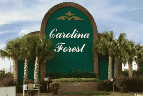 Other - 817 Old Castle Loop, Myrtle Beach, SC 29579 photo 8 of 8