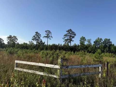 5 Acres Lot 2 Old Pee Dee Rd, Hemingway, SC 29554