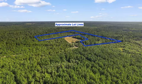 tbd Cartwheel Rd, Mullins, SC 29574 photo 19