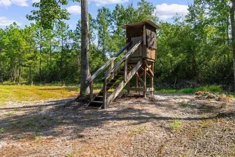 tbd Cartwheel Rd, Mullins, SC 29574 photo 7
