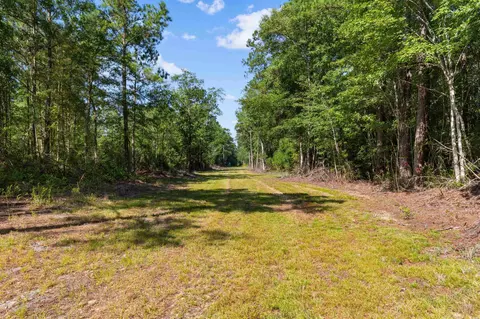 tbd Cartwheel Rd, Mullins, SC 29574 photo 9