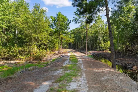 tbd Cartwheel Rd, Mullins, SC 29574 photo 6