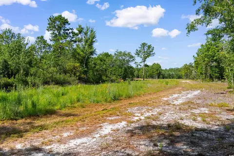 tbd Cartwheel Rd, Mullins, SC 29574 photo 12