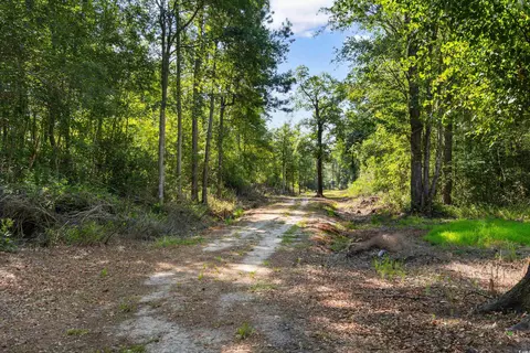 tbd Cartwheel Rd, Mullins, SC 29574 photo 10