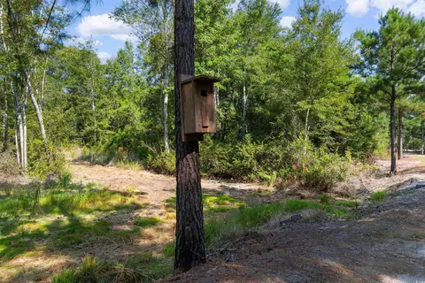 tbd Cartwheel Rd, Mullins, SC 29574 photo 5