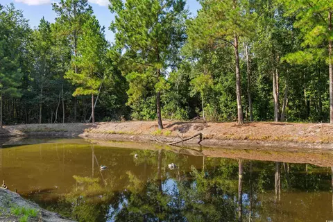 tbd Cartwheel Rd, Mullins, SC 29574 photo 3
