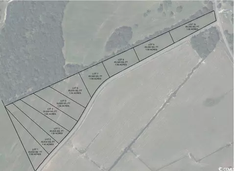 lot10 Gunters Island Rd, Galivants Ferry, SC 29544