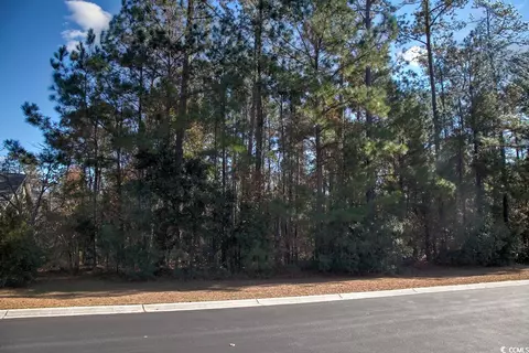 172 Low Country Loop, Murrells Inlet, SC 29576