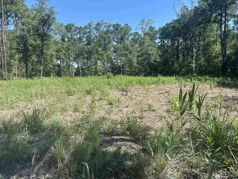 722 Romain Rd, Mcclellanville, SC 29458 photo 4