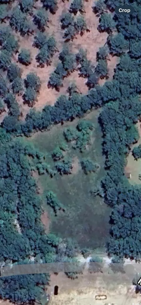 722 Romain Rd, Mcclellanville, SC 29458