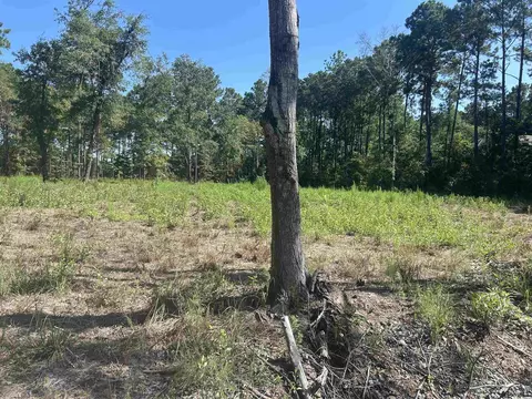 722 Romain Rd, Mcclellanville, SC 29458 photo 3