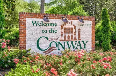 403 Mcqueen St, Conway, SC 29526 photo 38