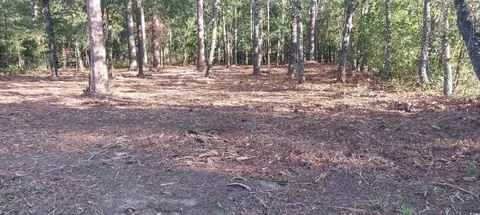 lot1 Pee Dee School Rd, Marion, SC 29571