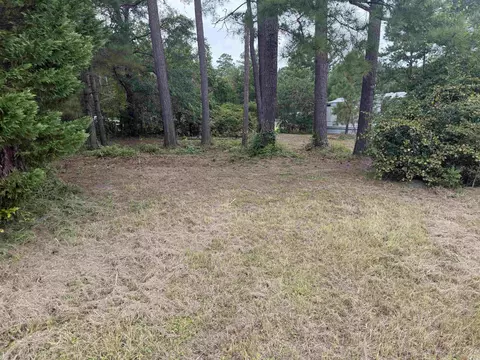 2187 Armview Rd, Loris, SC 29569 photo 13