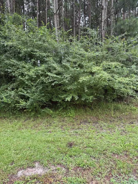 tbd Louisville Rd, Aynor, SC 29511