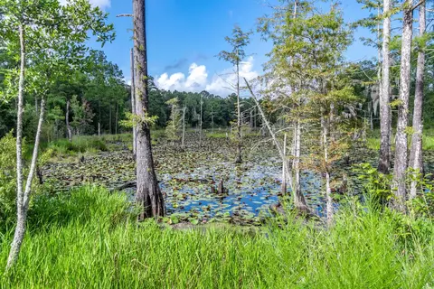 58 Pineberry Dr, Georgetown, SC 29440 photo 16