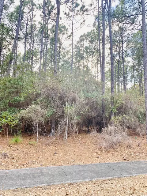 58 Pineberry Dr, Georgetown, SC 29440 photo 19
