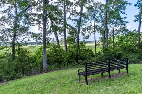 58 Pineberry Dr, Georgetown, SC 29440 photo 8
